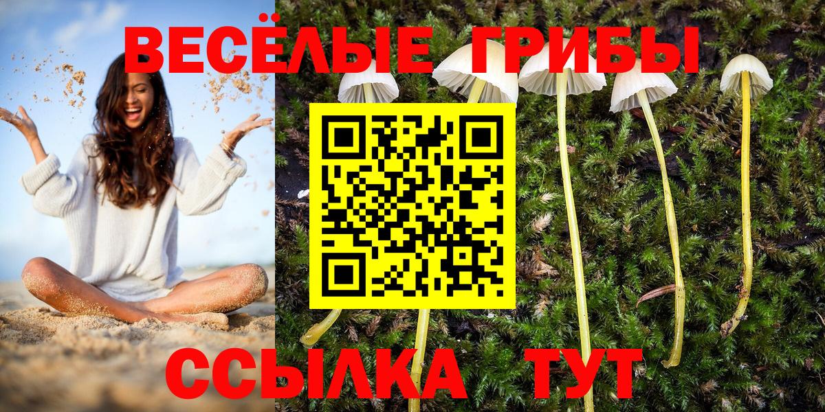 Зима  Галлюциногенные грибы прущие грибы  купить  цена  Вход с VPN 